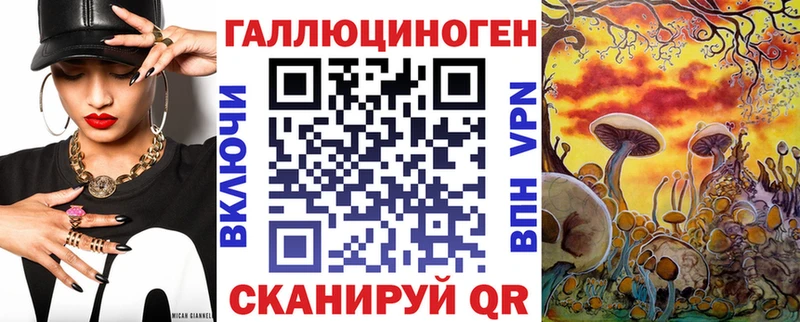 площадка телеграм Мамадыш Псилоцибиновые грибы мицелий