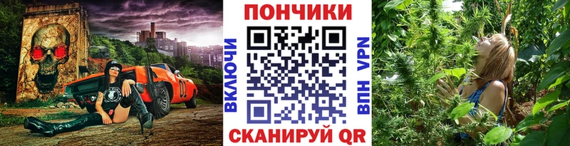 Бошки марихуана конопля Мамадыш